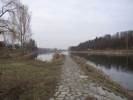 Vltava 7 A-Malá řeka 17.2.04.jpg